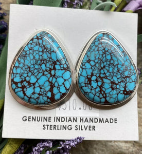 Navajo Sterling Silver Egyptian Turquoise Earrings. OC