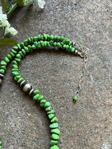 Sterling Silver Graduated Green Turquoise Bead Necklace. 18 inch