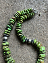 Load image into Gallery viewer, Sterling Silver Graduated Green Turquoise Bead Necklace. 18 inch